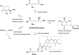 Graphical abstract: Synthesis of glycosylated 5-hydroxylysine, an important amino acid present in collagen-like proteins such as adiponectin