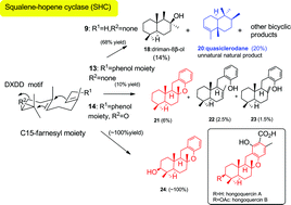 Graphical abstract: Chemo-enzymatic syntheses of drimane-type sesquiterpenes and the fundamental core of hongoquercin meroterpenoid by recombinant squalene–hopene cyclase