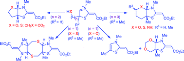 Graphical abstract: Synthesis of thiazolidine-fused heterocycles via exo-mode cyclizations of vinylogous N-acyliminium ions