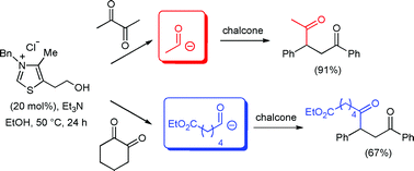 Graphical abstract: Thiazolium-catalyzed intermolecular Stetter reaction of linear and cyclic alkyl α-diketones