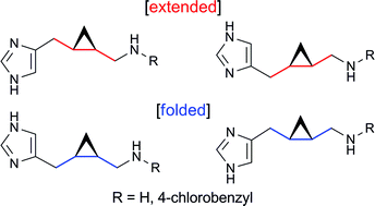 Graphical abstract: Cyclopropane-based stereochemical diversity-oriented conformational restriction strategy: Histamine H3 and/or H4 receptor ligands with the 2,3-methanobutane backbone