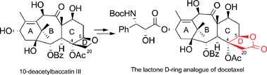 Graphical abstract: A novel D-ring modified taxoid: synthesis and biological evaluation of a γ-lactone analogue of docetaxel