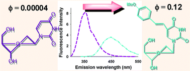 Graphical abstract: Analogues of uracil nucleosides with intrinsic fluorescence (NIF-analogues): synthesis and photophysical properties