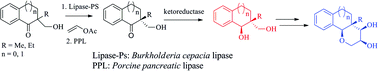 Graphical abstract: Enantiomeric scaffolding of α-tetralone and related scaffolds by EKR (Enzymatic Kinetic Resolution) and stereoselective ketoreduction with ketoreductases