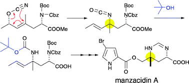 Graphical abstract: Synthesis of manzacidin A and C: efficient construction of quaternary carbon stereocenters bearing nitrogen substituents