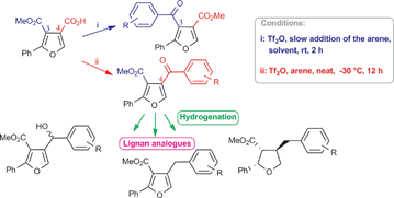 Graphical abstract: Regiodivergent synthesis of trisubstituted furans through Tf2O-catalyzed Friedel–Crafts acylation: a tool for access to tetrahydrofuran lignan analogues