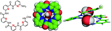 Graphical abstract: Synthesis, structural investigation and computational modelling of water-binding aquafoldamers