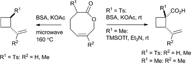 Graphical abstract: Transannular Claisen rearrangement reactions for the synthesis of vinylcyclobutanes: formal synthesis of (±)-grandisol