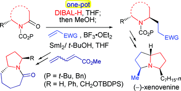 Graphical abstract: One-pot reductive coupling of N-acylcarbamates with activated alkenes: application to the asymmetric synthesis of pyrrolo[1,2-a]azepin-5-one ring system and (−)-xenovenine