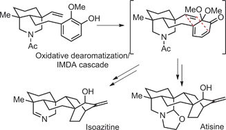 Graphical abstract: Oxidative dearomatization/intramolecular Diels–Alder cycloaddition cascade for the syntheses of (±)-atisine and (±)-isoazitine