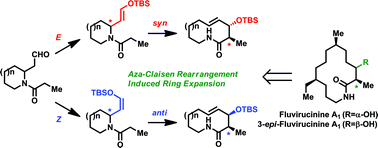 Graphical abstract: A stereo-controlled access to functionalized macrolactams via an aza-Claisen rearrangement