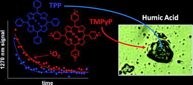 Graphical abstract: The role of humic acid aggregation on the kinetics of photosensitized singlet oxygen production and decay