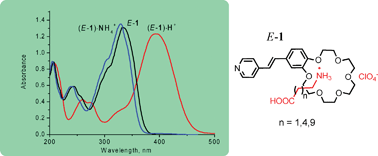 Graphical abstract: Complexes of amino acids with a crown-ether derivative of 4-styrylpyridine. Monotopic or ditopic?