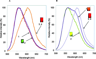 Graphical abstract: Design of disulfide bridge as an alternative mechanism for color shift in firefly luciferase and development of secreted luciferase