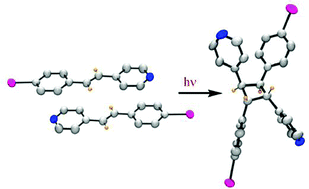 Graphical abstract: Photodimerization of HCl salts of azastilbenes in the solid state