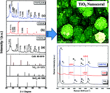 Graphical abstract: CdS-sensitized TiO2 nanocorals: hydrothermal synthesis, characterization, application
