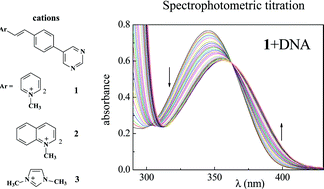 Graphical abstract: Photochemistry and DNA-affinity of some pyrimidine-substituted styryl-azinium iodides