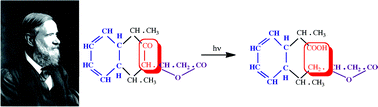 Graphical abstract: A tribute to Stanislao Cannizzaro, chemical informationist and photochemist