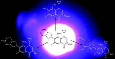 Graphical abstract: Determination of photostability and photodegradation products of moxifloxacin in the presence of metal ions in solutions and solid phase. Kinetics and identification of photoproducts