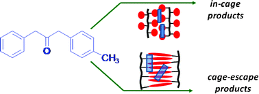 Graphical abstract: In-cage and out-of-cage combinations of benzylic radical pairs in the glassy and melted states of poly(alkyl methacrylate)s