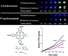 Graphical abstract: Predicting efficacy of photodynamic therapy by real-time FDG-PET in a mouse tumour model