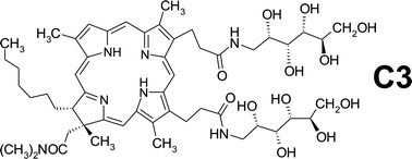 Graphical abstract: Photoprocesses of chlorin e6 glucose derivatives