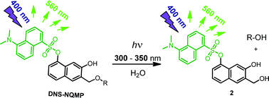 Graphical abstract: Bichromophoric fluorescent photolabile protecting group for alcohols and carboxylic acids