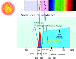 Graphical abstract: Introduction to the themed issue on the biology of UVA