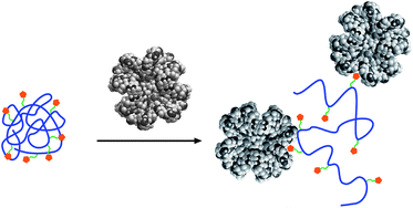 Graphical abstract: Tuning the lower critical solution temperature of thermoresponsive polymers by biospecific recognition