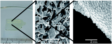 Graphical abstract: Cryostructuration as a tool for preparing highly porous polymer materials