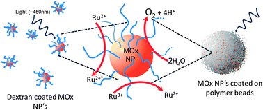 Graphical abstract: Biopolymer stabilized nanoparticles as co-catalysts for photocatalytic water oxidations