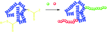 Graphical abstract: RAFT polymerization mediated bioconjugation strategies