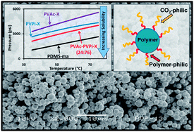 Graphical abstract: Synthesis and application of new CO2-soluble vinyl pivalate hydrocarbon stabilisers viaRAFT polymerisation