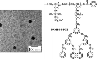 Graphical abstract: Self-association behavior in water of an amphiphilic diblock copolymer comprised of anionic and dendritic blocks