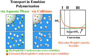 Graphical abstract: Mass transport by collisions in emulsion polymerization: why it is possible to use very hydrophobic catalysts for efficient molecular weight control