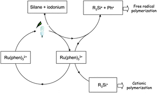 Graphical abstract: Efficient dual radical/cationic photoinitiator under visible light: a new concept