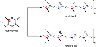 Graphical abstract: Initiators for the stereoselective ring-opening polymerization of meso-lactide