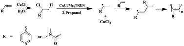 Graphical abstract: Polymerization of 4-vinylpyridine and N,N-dimethylacrylamide using a system without organic initiator