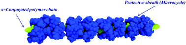 Graphical abstract: Permethylated cyclodextrin-based insulated molecular wires