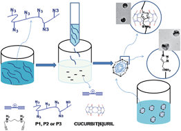 Graphical abstract: Facile synthesis of cross-linked patchy fluorescent conjugated polymer nanoparticles by click reactions