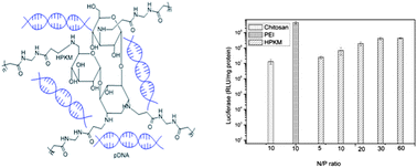 Graphical abstract: Hyperbranched glycoconjugated polymer from natural small molecule kanamycin as a safe and efficient gene vector