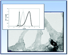 Graphical abstract: Unexpected behaviour of multi-walled carbon nanotubes during “in situ” polymerization process: When carbon nanotubes act as initiators and control agents for radical polymerization