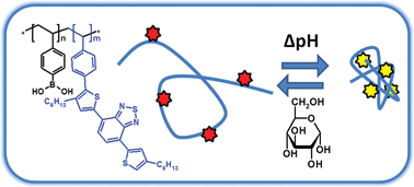 Graphical abstract: Direct nitroxide mediated (co)polymerization of 4-vinylphenylboronic acid as route towards sugar sensors