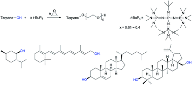 Graphical abstract: Synthesis of terpene–poly(ethylene oxide)s by t-BuP4-promoted anionic ring-opening polymerization