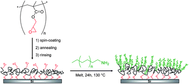 Graphical abstract: Poly(ethylene) brushes grafted to silicon substrates