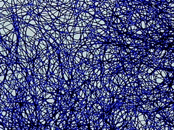 Graphical abstract: Self-assembled poly(2-ethyl-2-oxazoline) fibers in aqueous solutions