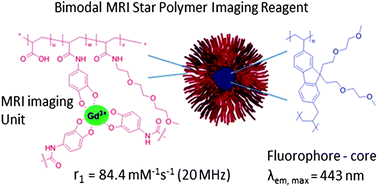 Graphical abstract: High relaxivity MRI imaging reagents from bimodal star polymers