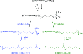 Graphical abstract: Bis(phosphinimino)methanide borohydride complexes of the rare-earth elements as initiators for the ring-opening polymerization of trimethylene carbonate: combined experimental and computational investigations