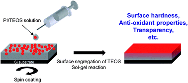 Graphical abstract: One-pot surface modification of rubbery polymer films