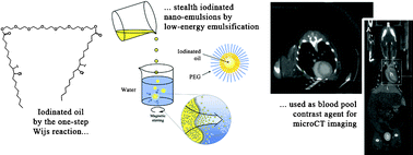Graphical abstract: Radiopaque iodinated nano-emulsions for preclinical X-ray imaging